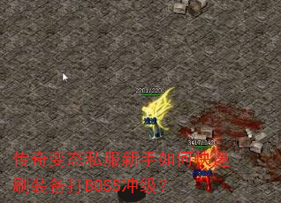 �����̬˽��������ο���ˢװ����BOSS�弶��