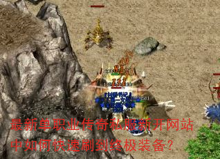 ���µ�ְҵ����˽���¿���վ����ο���ˢ���ռ�װ����