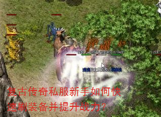 ���Ŵ���˽��������ο���ˢװ��������ս����