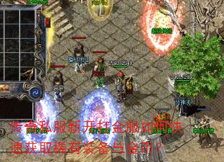 ����˽���¿�������ο��ٻ�ȡϡ��װ�����ң�