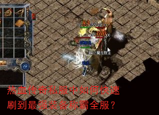 ��Ѫ����˽������ο���ˢ����ǿװ���ư�ȫ����