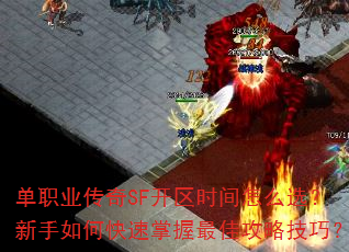 ��ְҵ����SF����ʱ����ôѡ��������ο���������ѹ��Լ��ɣ�