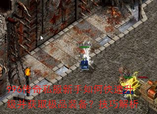 996����˽��������ο�����������ȡ��Ʒװ�������ɽ���