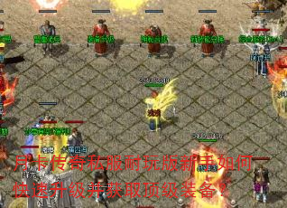 �¿�����˽�������������ο�����������ȡ����װ����