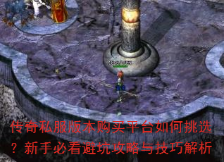 ����˽���汾����ƽ̨�����ѡ�����ֱؿ��ܿӹ����뼼�ɽ���