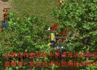 ����ڴ�����Ϸ�п���������ʵ�ֲƸ���ֵ������Ͷ��Ϊ�����ظ�Ч����