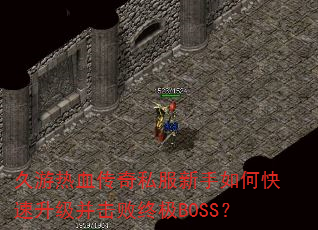 ������Ѫ����˽��������ο��������������ռ�BOSS��