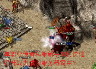 ��ְҵ����˽��������ο�������ս����Ϊ������������