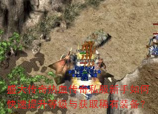 ʢ������Ѫ����˽��������ο��������ȼ����ȡϡ��װ����