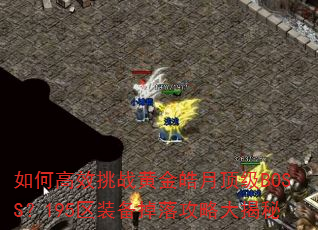 ��θ�Ч��ս�ƽ���¶���BOSS��195��װ�����乥�Դ����