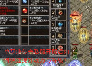 ��ְҵ����˽����������ο�������ս����ȼ���