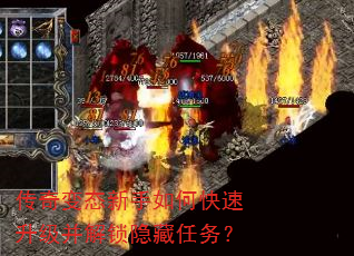 �����̬������ο���������������������