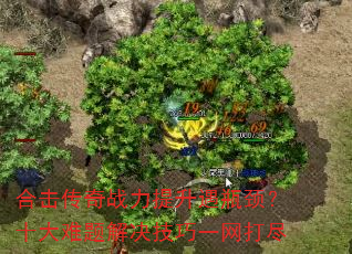 �ϻ�����ս��������ƿ����ʮ������������һ����