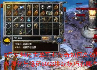 8�¹�����ʧ��ְҵ������θ�Чˢ��װ��ǿ��������BOSS��ս��������Щ��