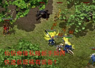 ������Ե˽��������ο��ٻ�ȡϡ��װ����