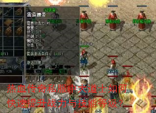 ��Ѫ����˽���д��ʿ��ο�������ս���뼼�ܵȼ���