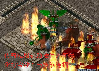 ����˽�������������Ż���Ч���뼼�����У�