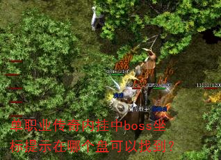 ��ְҵ�����ڹ���boss������ʾ���ĸ��̿����ҵ���