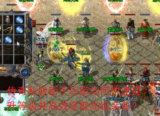 ����˽�����������ο��������ȼ�����Ч��ȡ�߼�װ����