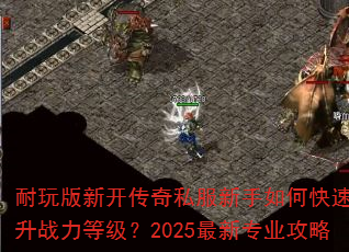 ������¿�����˽��������ο�������ս���ȼ���2025����רҵ����