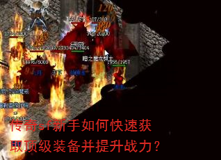 ����sf������ο��ٻ�ȡ����װ��������ս����