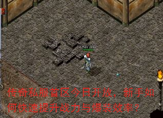 ����˽���������տ��ţ�������ο�������ս���뱬װЧ�ʣ�