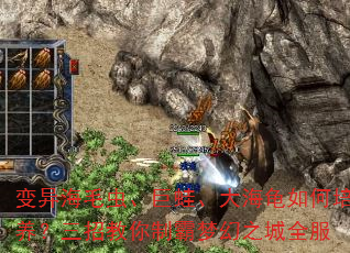 ���캣ë�桢���ܡ��󺣹�������������н����ư��λ�֮��ȫ��