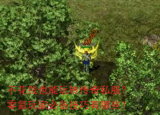 ����ǮҲ����ת����˽���������ұر���������Щ��