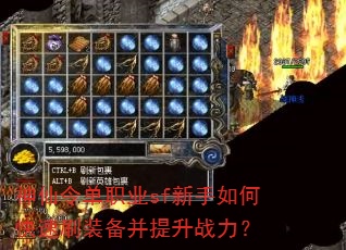 �����ְҵsf������ο���ˢװ��������ս����