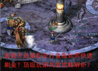 ���¿��ŵ�ְҵ������ο���ˢ�𣿶�����Ҹ�Ч���Խ�����