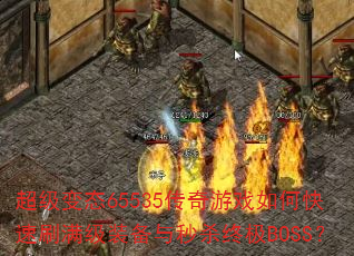 ������̬65535������Ϸ��ο���ˢ����װ������ɱ�ռ�BOSS��