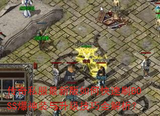 ����˽�����°���ο���ˢBOSS����װ����������ȫ������