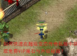 ��ο����ڳ�����̬����˽���л�ȡ���VIPħʯ�������ؼ���