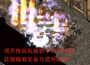 Ӷ����˵˽��������ο��ٻ�ȡϡ��װ��������ս����