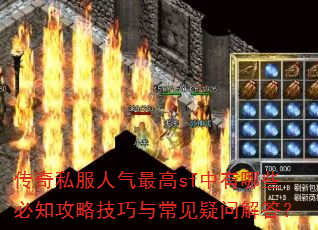 ����˽���������sf������Щ��֪���Լ����볣�����ʽ��