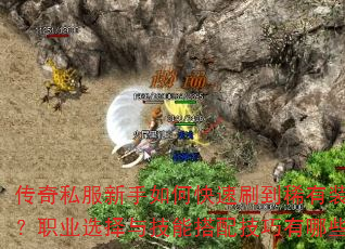 ����˽��������ο���ˢ��ϡ��װ����ְҵѡ���뼼�ܴ��似������Щ��