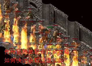 ����˽����ְҵ�������ο��ٻ�ȡ����װ����