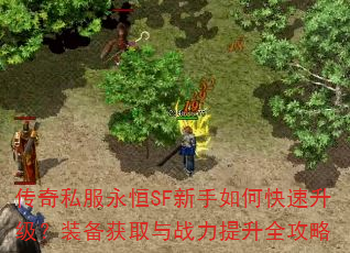 ����˽������SF������ο���������װ����ȡ��ս������ȫ����