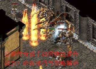 ���⴫��������ο�������ս�����ر������빥�Խ���