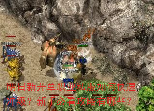 �����¿���ְҵ˽����ο��ٳ弶�����ֱؿ���������Щ��