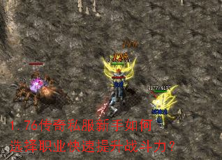 1.76����˽���������ѡ��ְҵ��������ս������