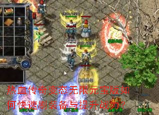 ��Ѫ�����̬����Ԫ������ο���ˢװ��������ս����