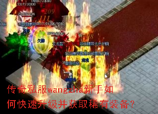 ����˽��wangzha������ο�����������ȡϡ��װ����