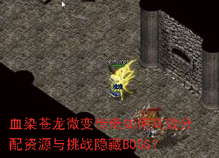 ѪȾ����΢�䴫����θ�Ч������Դ����ս����BOSS��