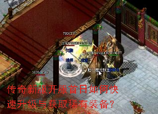 �����·�����������ο����������ȡϡ��װ����