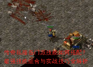 ����˽�������ɼ�����δ��䣿��ǿ���������ʵս����ȫ����