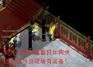 �¿�����˽��������ο����������ȡϡ��װ����