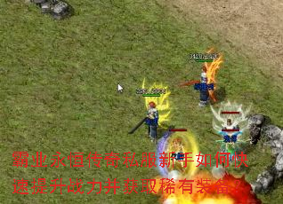 ��ҵ���㴫��˽��������ο�������ս������ȡϡ��װ����