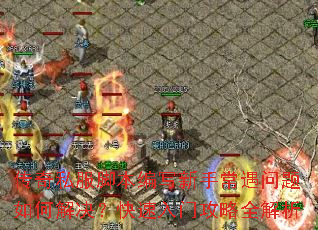 ����˽���ű���д���ֳ���������ν�����������Ź���ȫ����