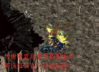 �������˽������ְҵ���ѡ��װ���뼼�ܴ��䣿